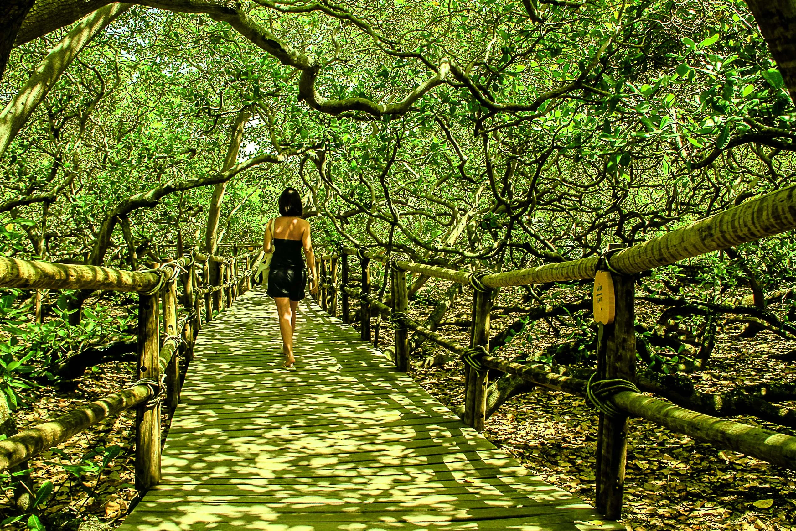 economy-atrações-turisticas.2 Parque das Dunas